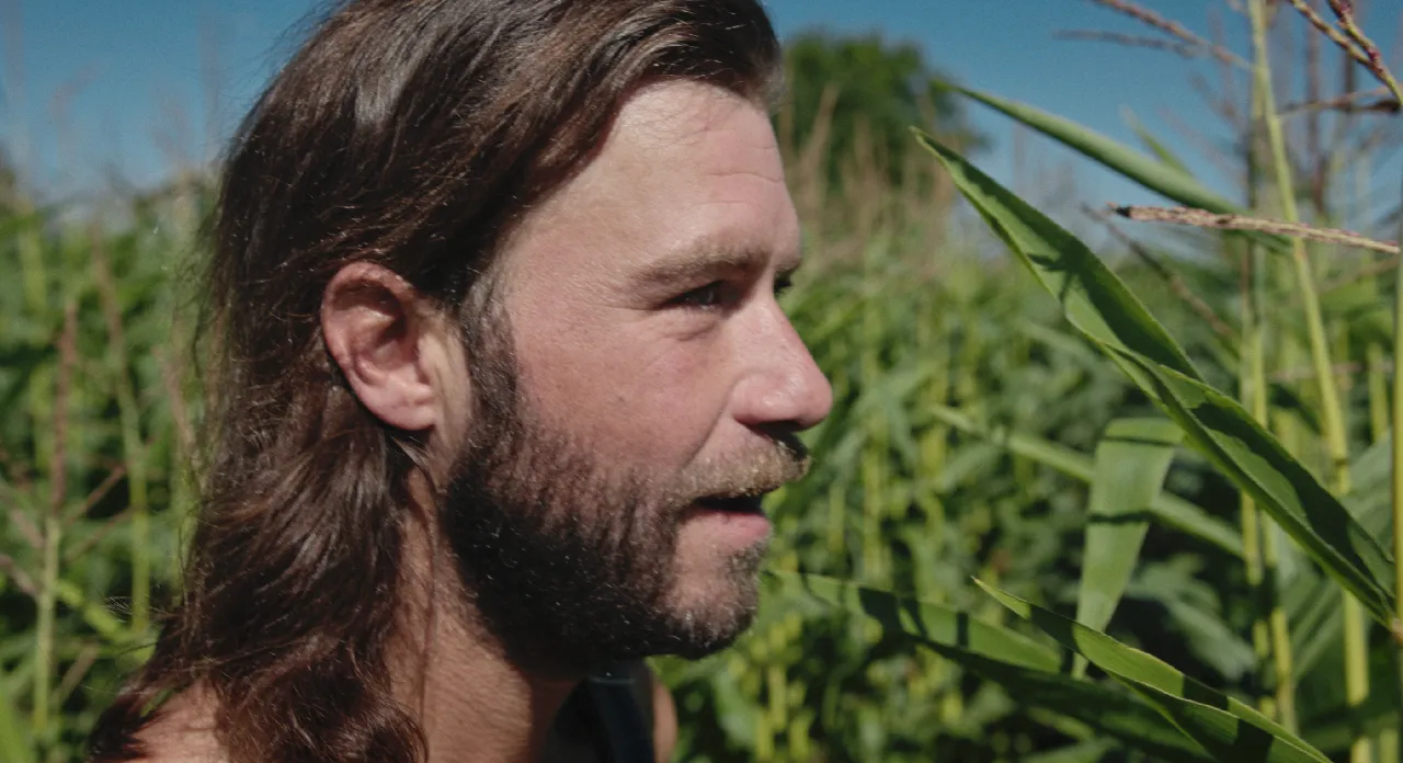 Homles - Festival de cinéma de la ville de Québec